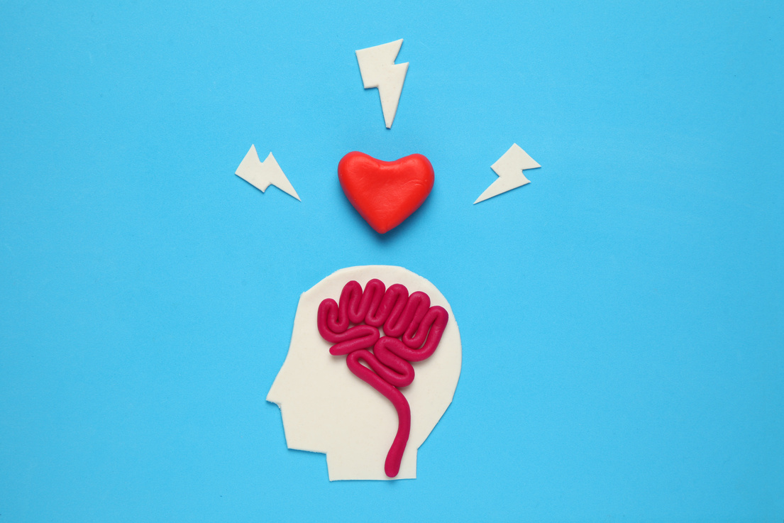Figure of man with brain and red heart. Love and intelligence